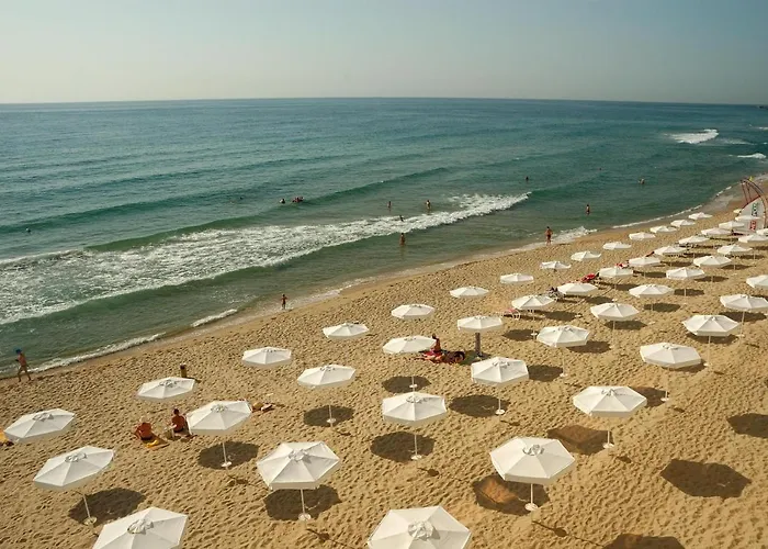 Marina Hotel, Sunny Day Хотел Варна